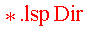 * . lsp Dir